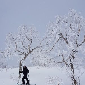 Meet your Posher, Dana